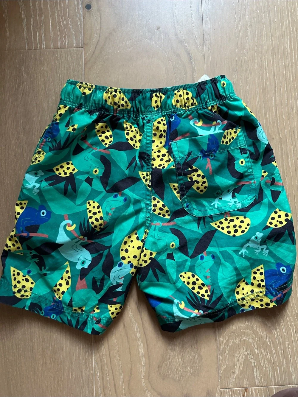 Hanna Andersson Boys Swim trunks